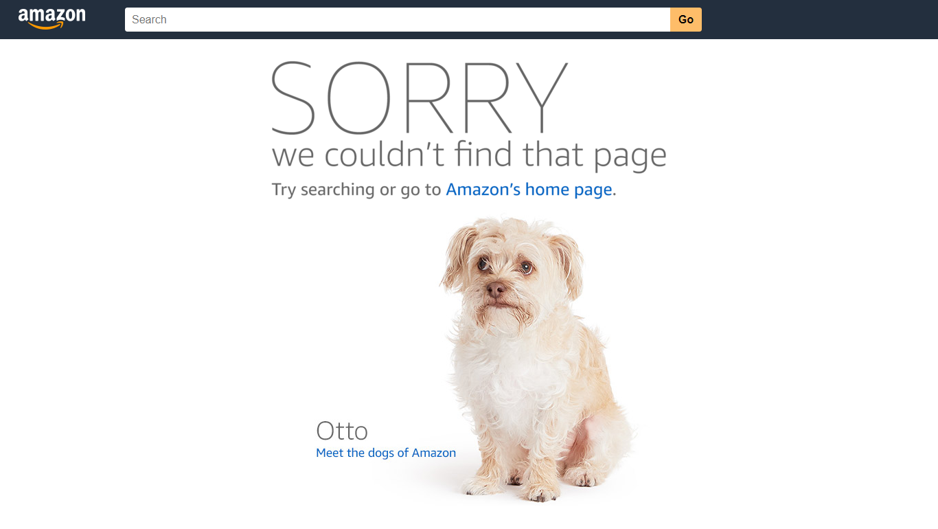 amazon 404 page